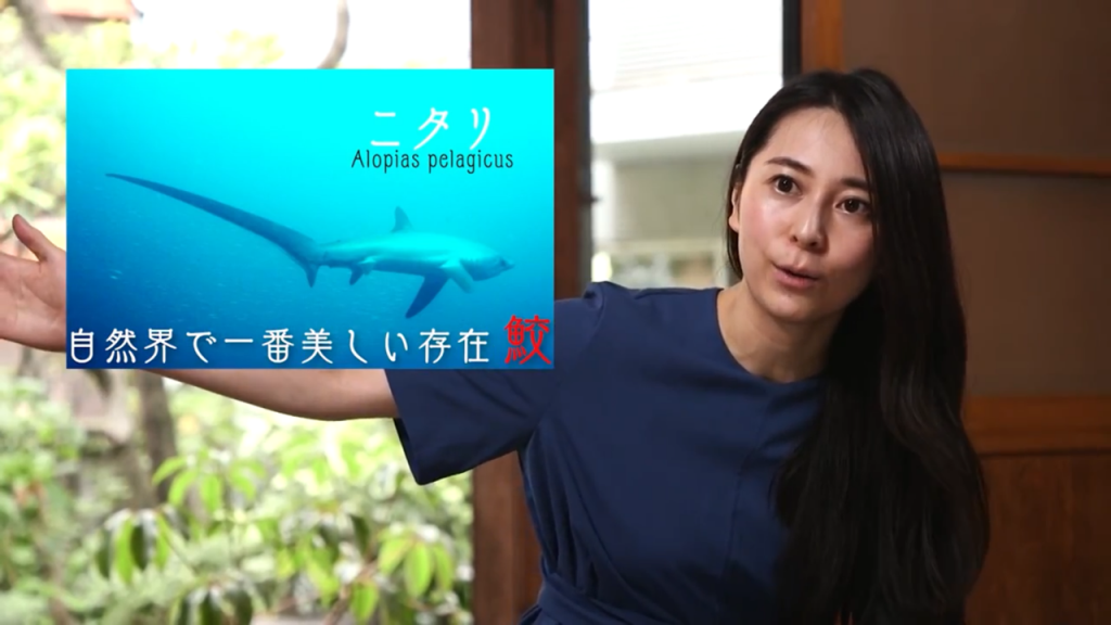 NHK「ミレニアルズ・ファイル」出演のお知らせ