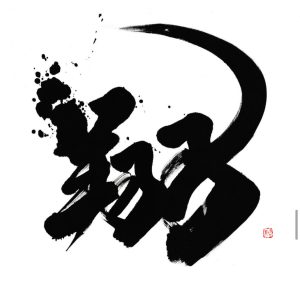 翔